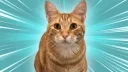 Silly Linguine Cat Simulator Deluxe Online - Official Server banner