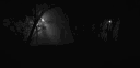Night Mare banner