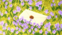 𝐄𝐯𝐞𝐫𝐠𝐚𝐫𝐝𝐞𝐧'𝐬 𝐀𝐫𝐜𝐡𝐢𝐯𝐞 | 𝐃𝐅𝐈𝐋 | 𝐒𝐨𝐜𝐢𝐚𝐥 server banner