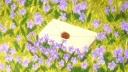 𝐄𝐯𝐞𝐫𝐠𝐚𝐫𝐝𝐞𝐧'𝐬 𝐀𝐫𝐜𝐡𝐢𝐯𝐞 | 𝐃𝐅𝐈𝐋 | 𝐒𝐨𝐜𝐢𝐚𝐥 Discord server banner