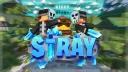 Stray banner