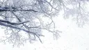 ゜ ノc𝕣uຣhiꫀs     ݁ ᨦ ˳݂ ❄ ల      J2L = b𝒶n server banner