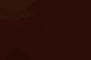 WILDEST banner