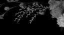 flesh server banner