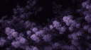 ℰ𝓋ℯ𝓇ℯ𝓈𝓉ᯓ★ 𓂃 nontox , gways , 15+ Discord server banner
