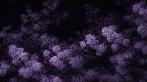 ℰ𝓋ℯ𝓇ℯ𝓈𝓉ᯓ★ 𓂃 nontox , gways , 15+ Discord server banner