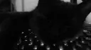 drained banner