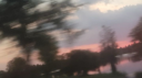 bloom social server banner