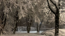 ౨ Obliv ● Discord server banner