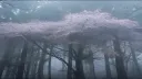xdxd banner