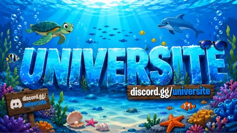 Université 🐬 #Été banner