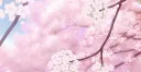 𑣲𝓵𝓲𝓵 𝓼𝓪𝓴𝓾𝓻𝓪𝓼⋆。˚ Discord server banner