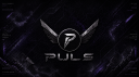 PULS | Pulse Collective Elite Division Discord server banner