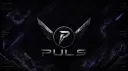 PULS | Pulse Collective Elite Division banner