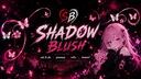 ˚₊· ͟͟͞➳ 🌸 𝘗𝘦𝘢𝘤𝘩 & 𝘗𝘢𝘭𝘴 〔13+〕 server banner