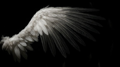 ⊝ ᴜɴꜱᴜᴄᴄᴇꜱꜱꜰᴜʟʟʏ ᴄᴏᴘɪɴɢ ⊝ Discord server banner