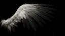 ⊝ ᴜɴꜱᴜᴄᴄᴇꜱꜱꜰᴜʟʟʏ ᴄᴏᴘɪɴɢ ⊝ Discord server banner