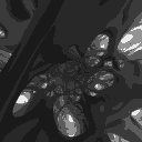LTD server banner