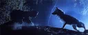 ⋆˚࿔ㆍFull Moon Risingㆍ ❀࿐ server banner