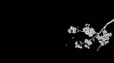 /Electron banner