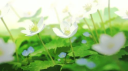 A Little Piece Of Peace server banner
