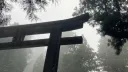 weth banner