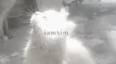 5b right now! | Xim’s kingdom banner