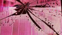 › paradise. labs. server banner