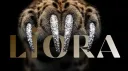 L İ O R A#PRİW banner