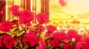 /𝗛𝗮𝗿𝗺𝗼𝗻𝘆⋆.˚ Discord server banner