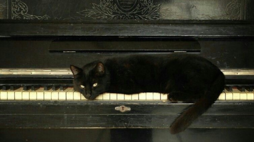 @/whats ♣ Discord server banner