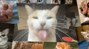 The Weirdo Community Discord server banner