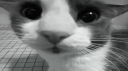 Untitled GOOGShot Fan Server server banner