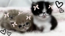 Awry server banner