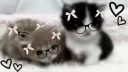 Awry server banner