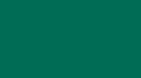 Sprawdziany & Kartkówki 🧠 Discord server banner