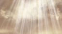 ᴘᴀʀᴀᴅɪꜱᴇ Discord server banner