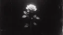/dera fuxked by /hb ? banner