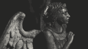 Leader banner