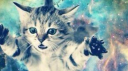 meow server banner