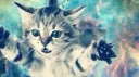 meow server banner