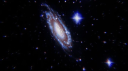 𝒜staera's 𝒢rove server banner