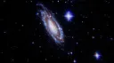 𝒜staera's 𝒢rove Discord server banner