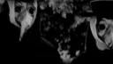 /climb banner