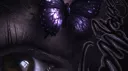 just /wondering banner
