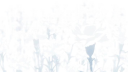 𝙶𝚞𝚋𝚜 Discord server banner