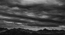 𝑨𝒍𝒑𝒉𝒂 𝑺𝒒𝒖𝒂𝒅 banner