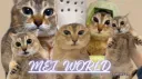 Mei World Discord server banner