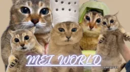 Mei World server banner