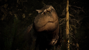 Official Titans server banner